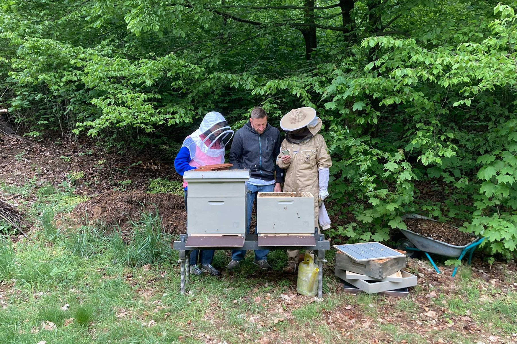 Open Bee Studio