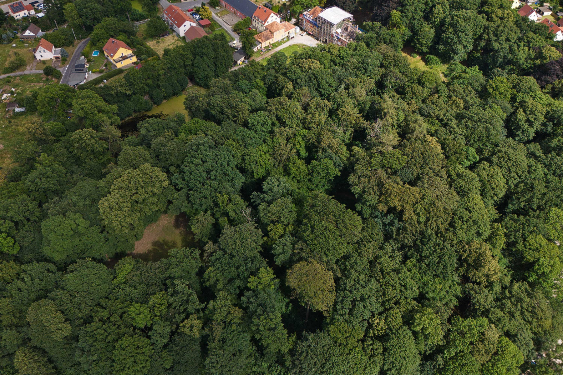Der Park