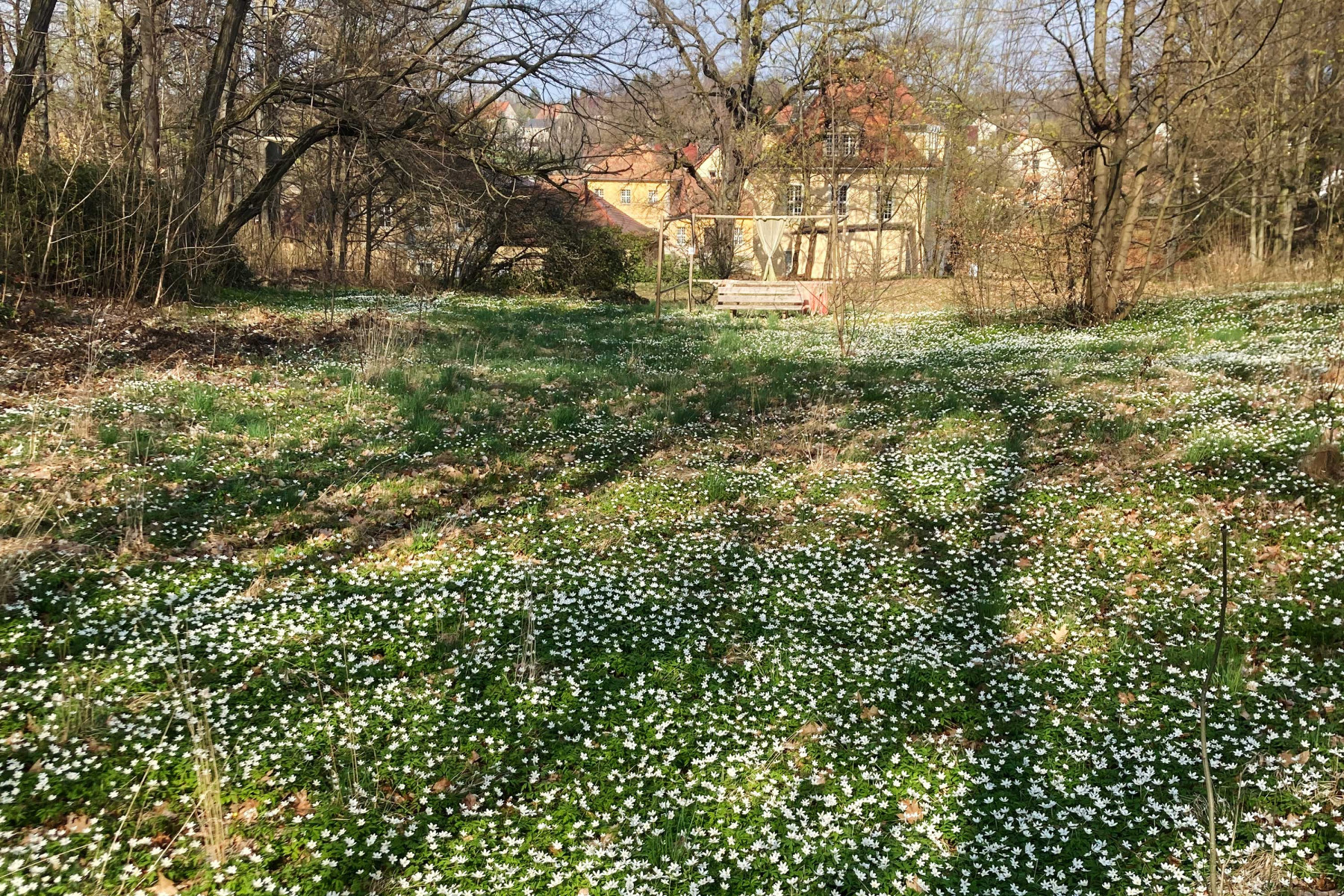 Der Park
