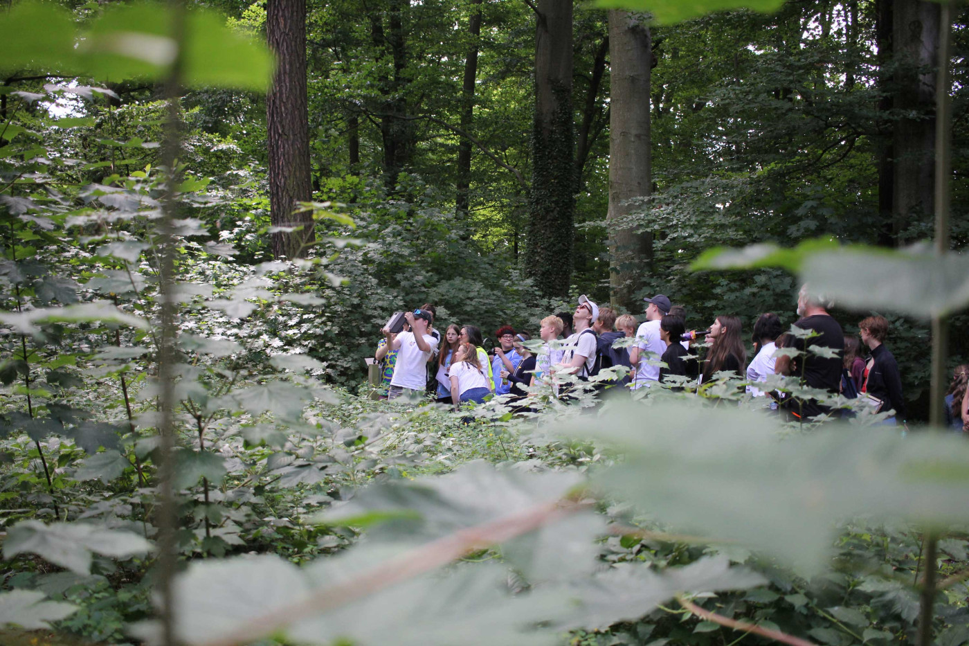 Der Park