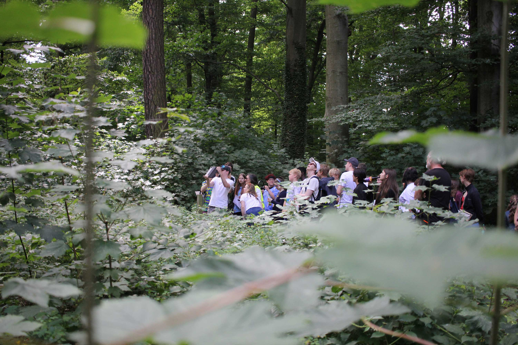 Der Park