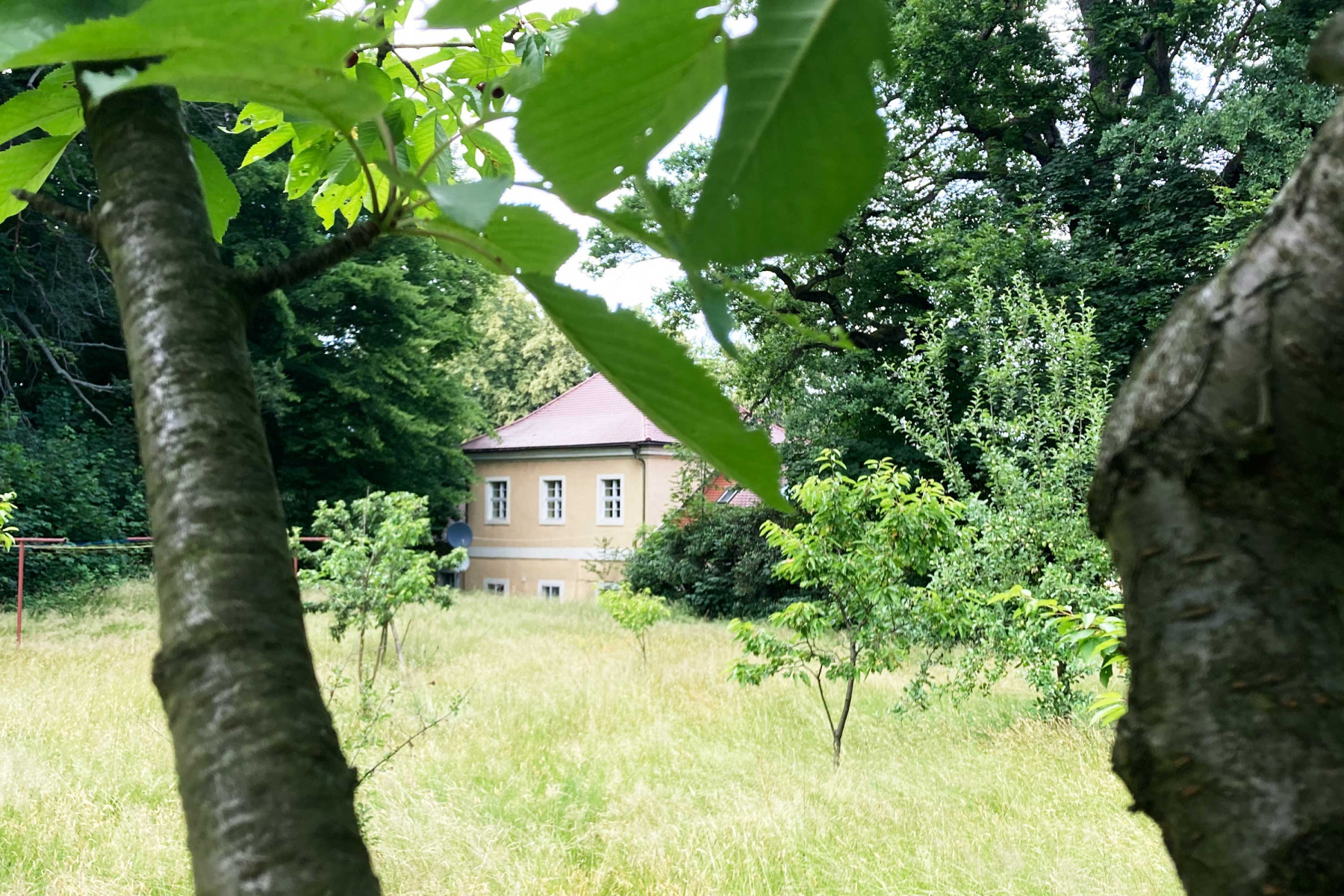 Der Park